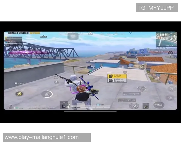 和平精英巨献探秘WE战队实力背后的秘密与荣耀